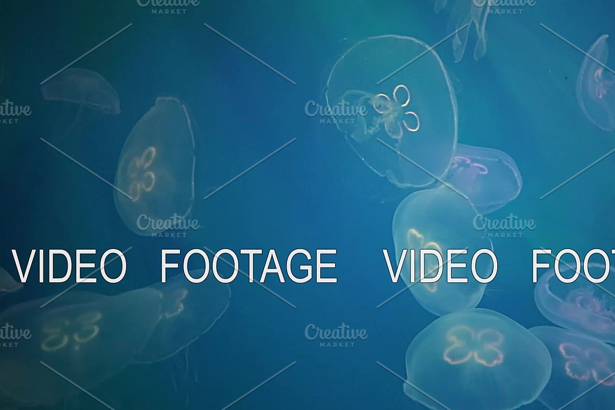 Jellyfish Underwater Footage with in Graphics - product preview 8