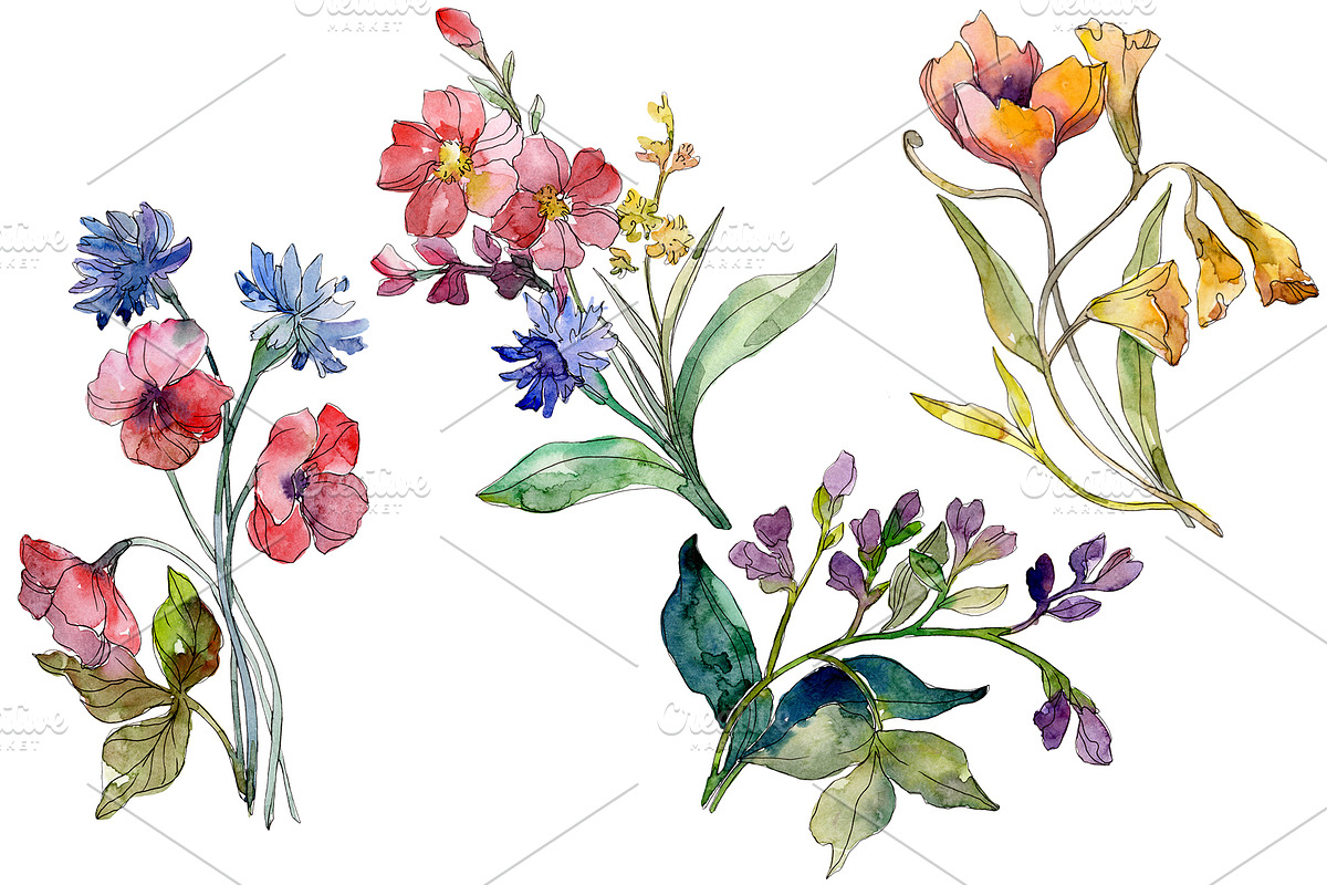 Wildflowers the beauty Watercolor in Illustrations - product preview 8