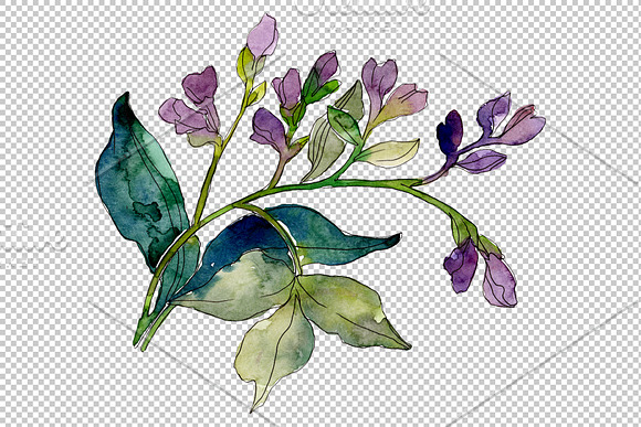Wildflowers the beauty Watercolor in Illustrations - product preview 2