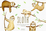 Watercolor sloth clipart