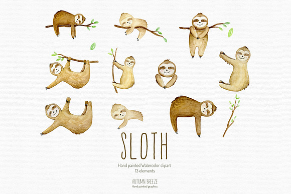Watercolor sloth clipart in Illustrations - product preview 2