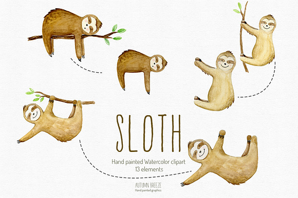Watercolor sloth clipart in Illustrations - product preview 3