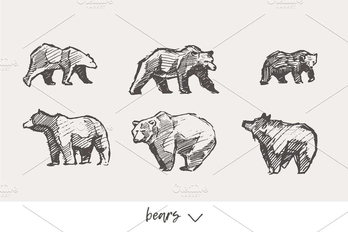 Huge collection of animals sketches in Illustrations - product preview 8