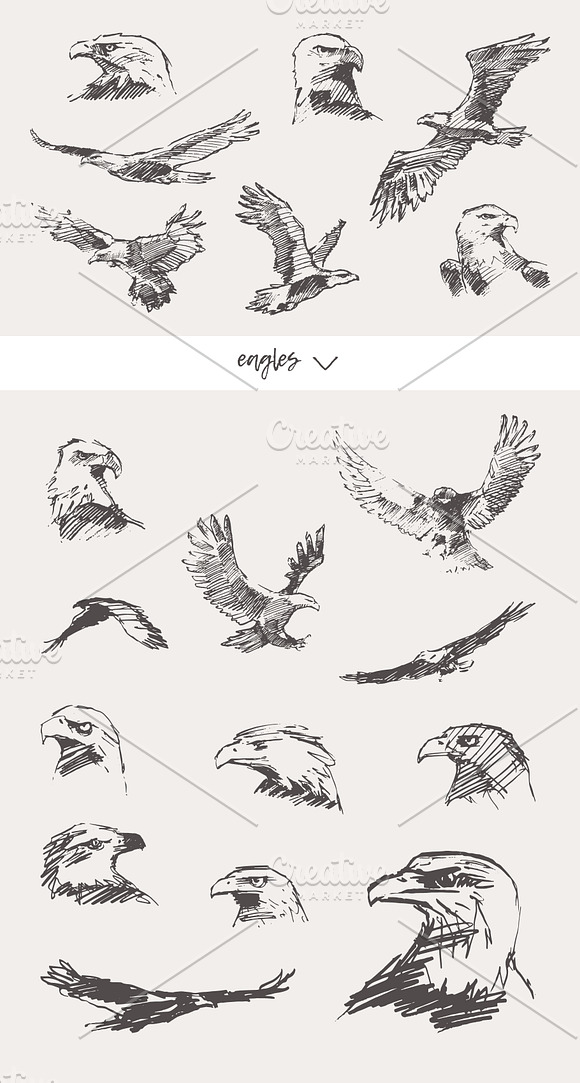 Huge collection of animals sketches in Illustrations - product preview 1