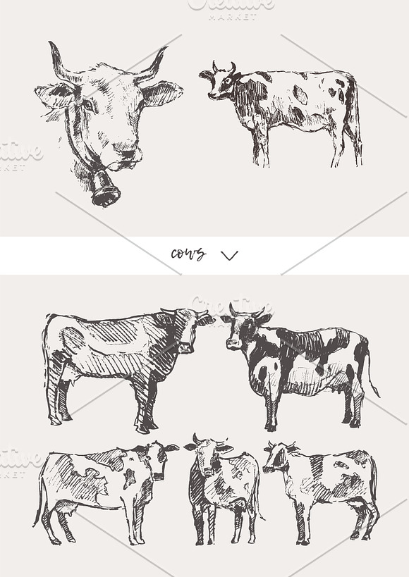Huge collection of animals sketches in Illustrations - product preview 5