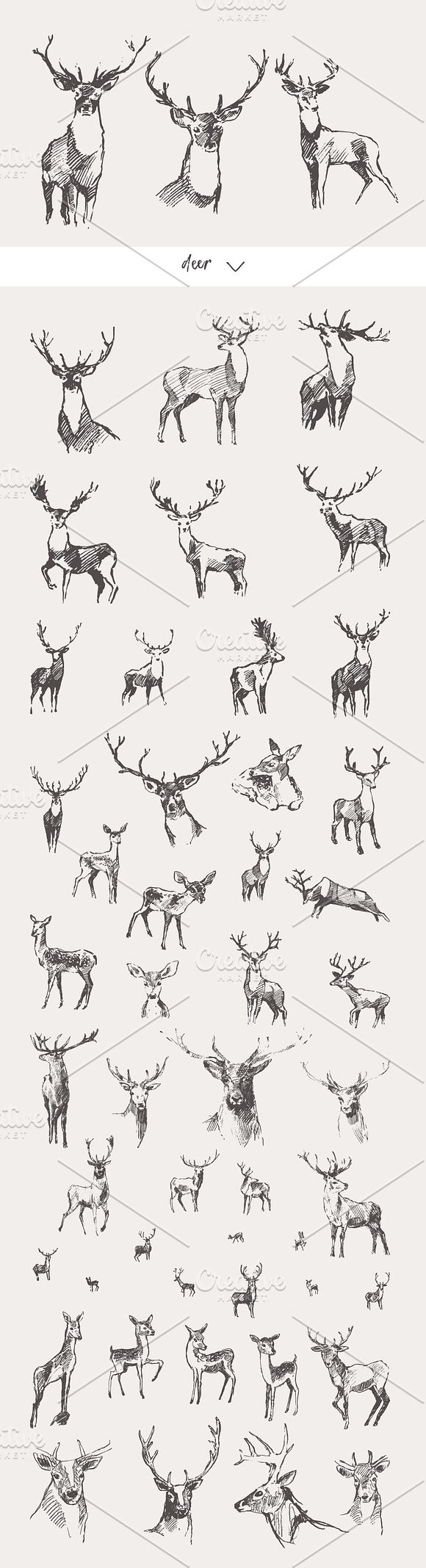Huge collection of animals sketches in Illustrations - product preview 6