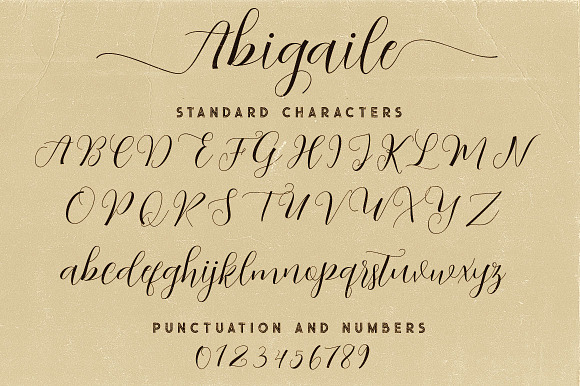 Abigaile Script Font in Script Fonts - product preview 5