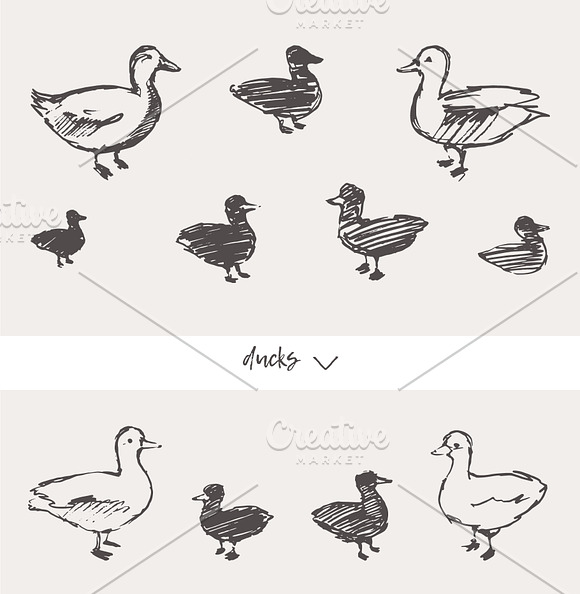Huge collection of animals sketches in Illustrations - product preview 7