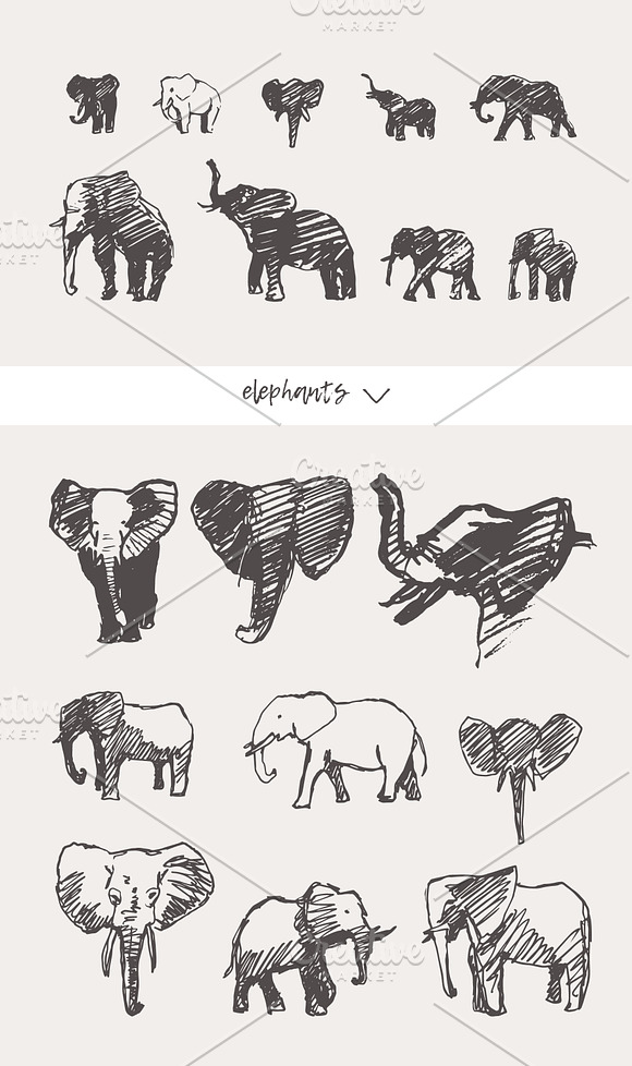 Huge collection of animals sketches in Illustrations - product preview 8
