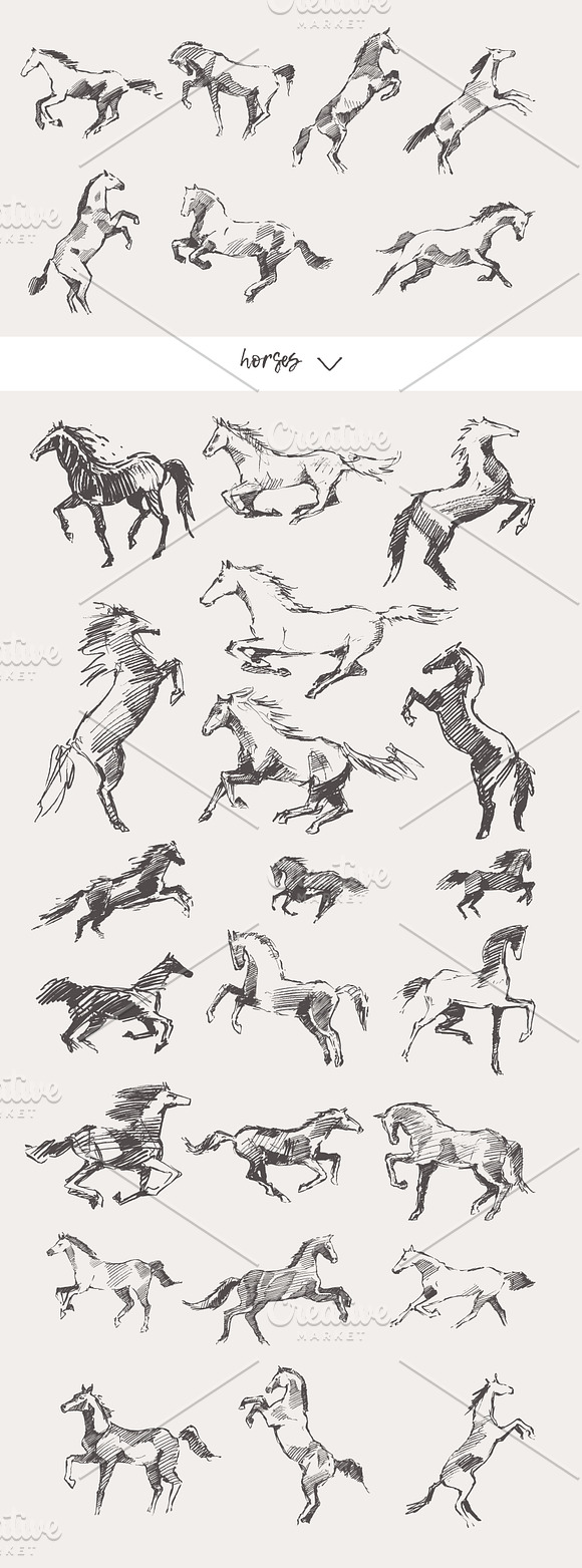 Huge collection of animals sketches in Illustrations - product preview 9