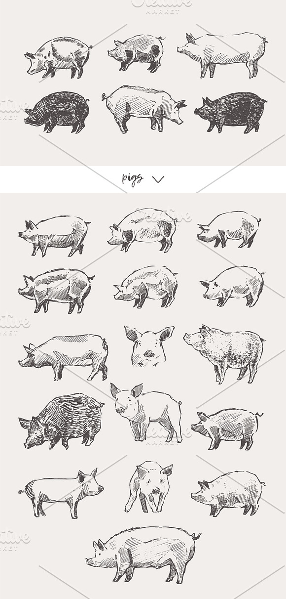 Huge collection of animals sketches in Illustrations - product preview 11
