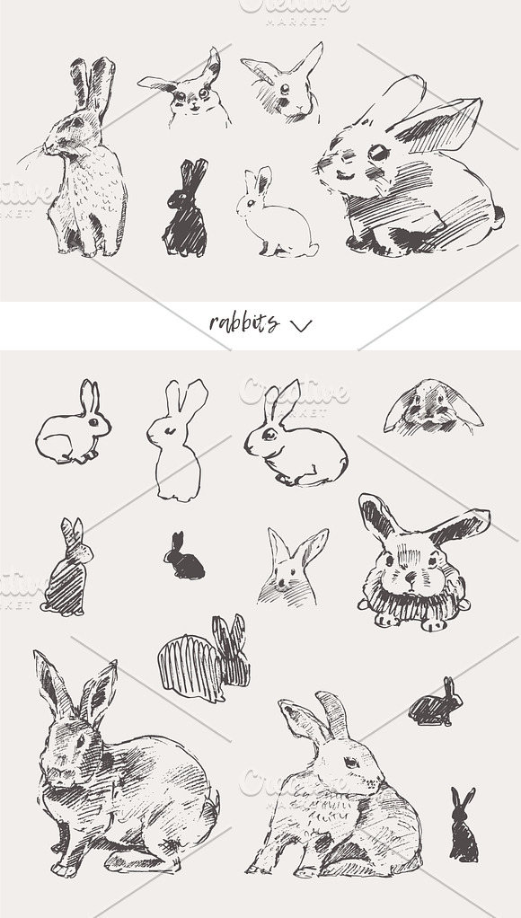 Huge collection of animals sketches in Illustrations - product preview 12