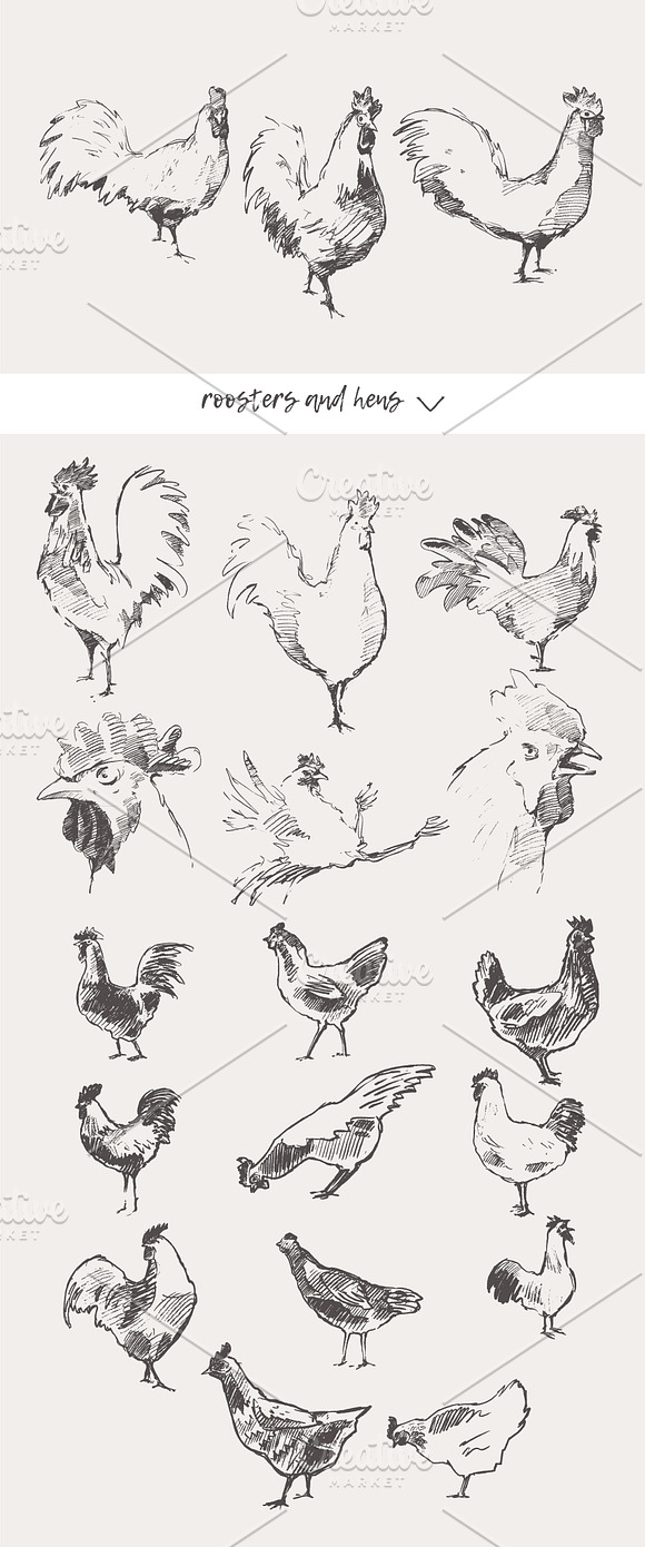 Huge collection of animals sketches in Illustrations - product preview 13