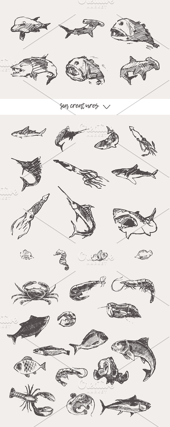 Huge collection of animals sketches in Illustrations - product preview 14