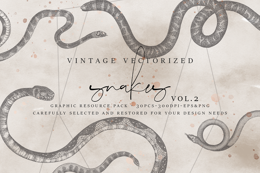 VintageVectorized- Snakes 2 Clipart