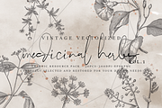 VintageVectorized- Herbs Clipart