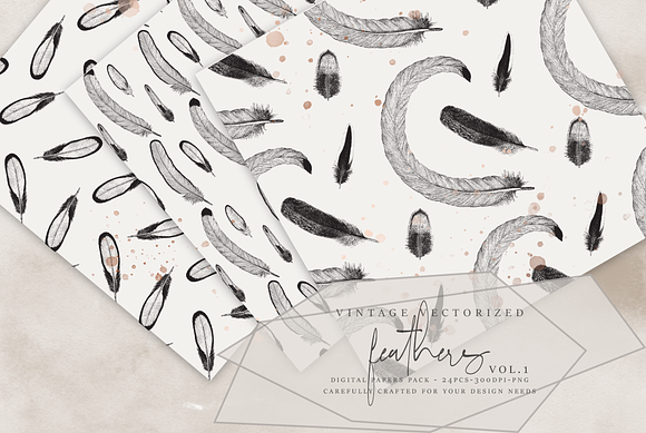 VV - Feathers Digital Paper in Patterns - product preview 4