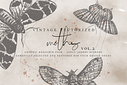 VintageVectorized-Moths2 Clipart