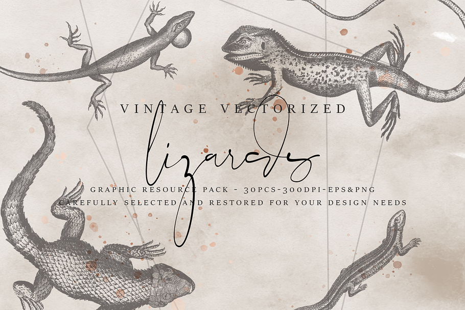 VintageVectorized-Lizards Clipart in Illustrations - product preview 8