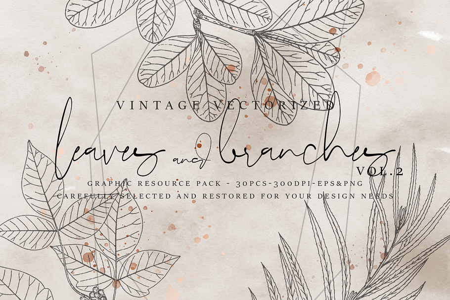 VintageVectorized-Leaves2 Clipart in Illustrations - product preview 8