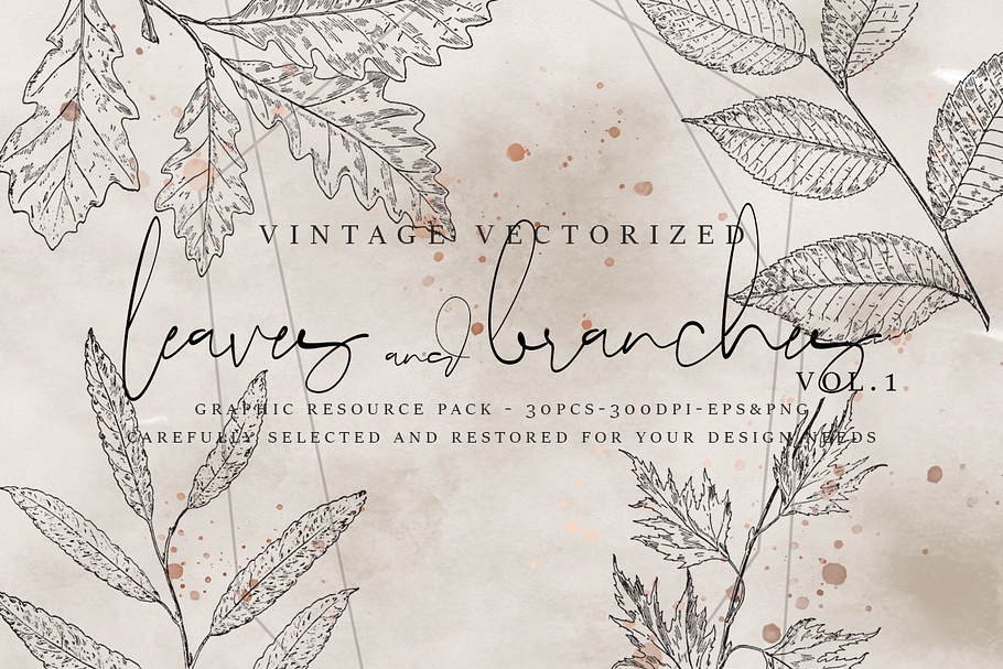 VintageVectorized-Leaves Clipart