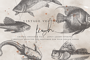 VintageVectorized-Fish Clipart