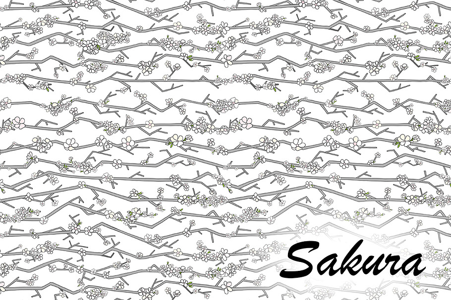 Sakura seamless patterns in Patterns - product preview 8