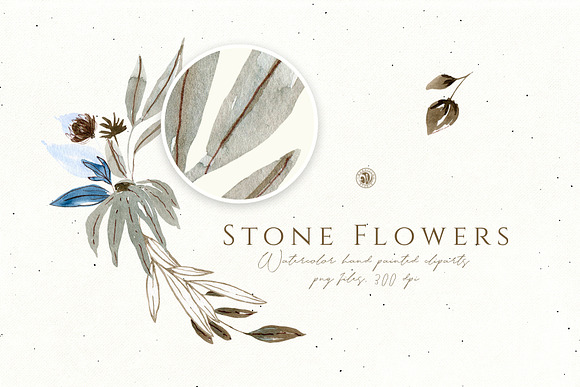Stone Flowers in Illustrations - product preview 2