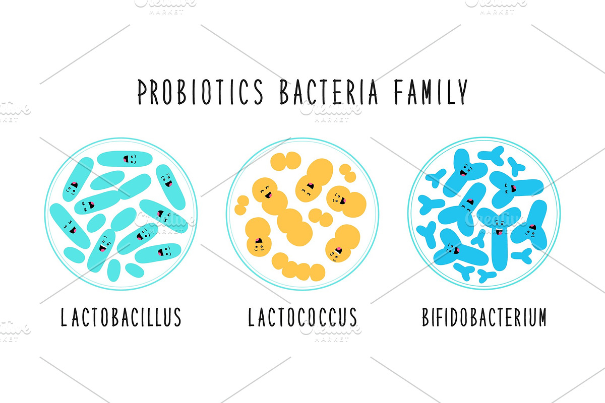 Funny probiotics bacteria family in Objects - product preview 8