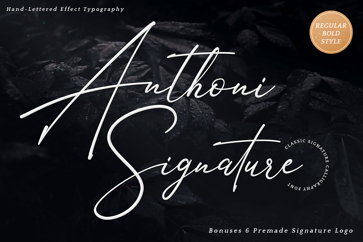 Anthoni Signature in Signature Fonts - product preview 8