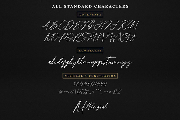 Anthoni Signature in Signature Fonts - product preview 7