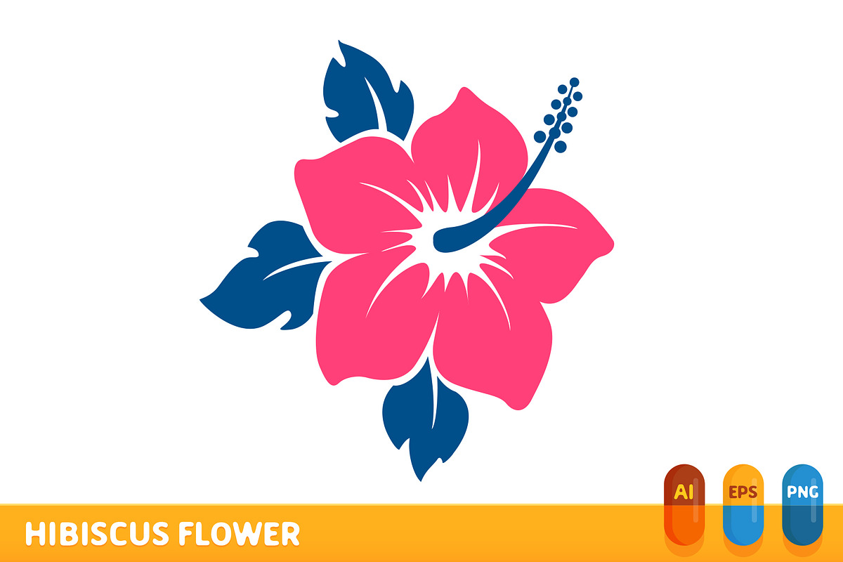 Hibiscus Flower in Illustrations - product preview 8
