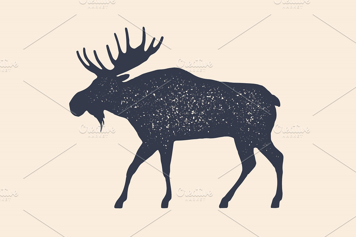 Moose, wild deer. Concept design of in Illustrations - product preview 8