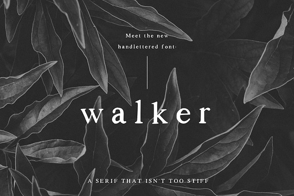 Walker: a Handlettered Serif in Serif Fonts - product preview 9