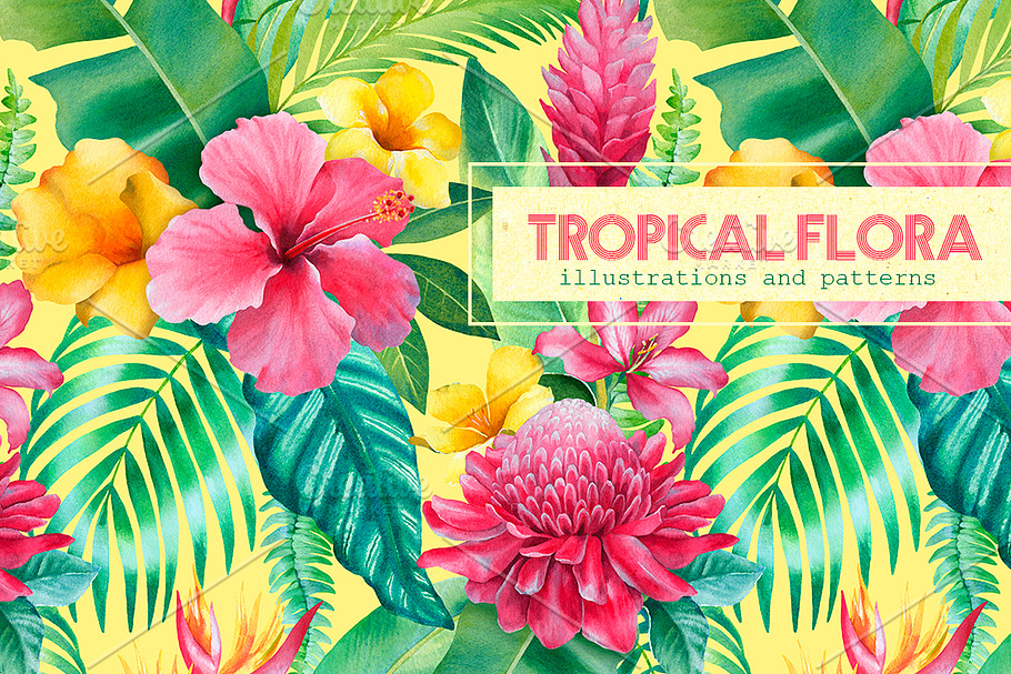Tropical flora