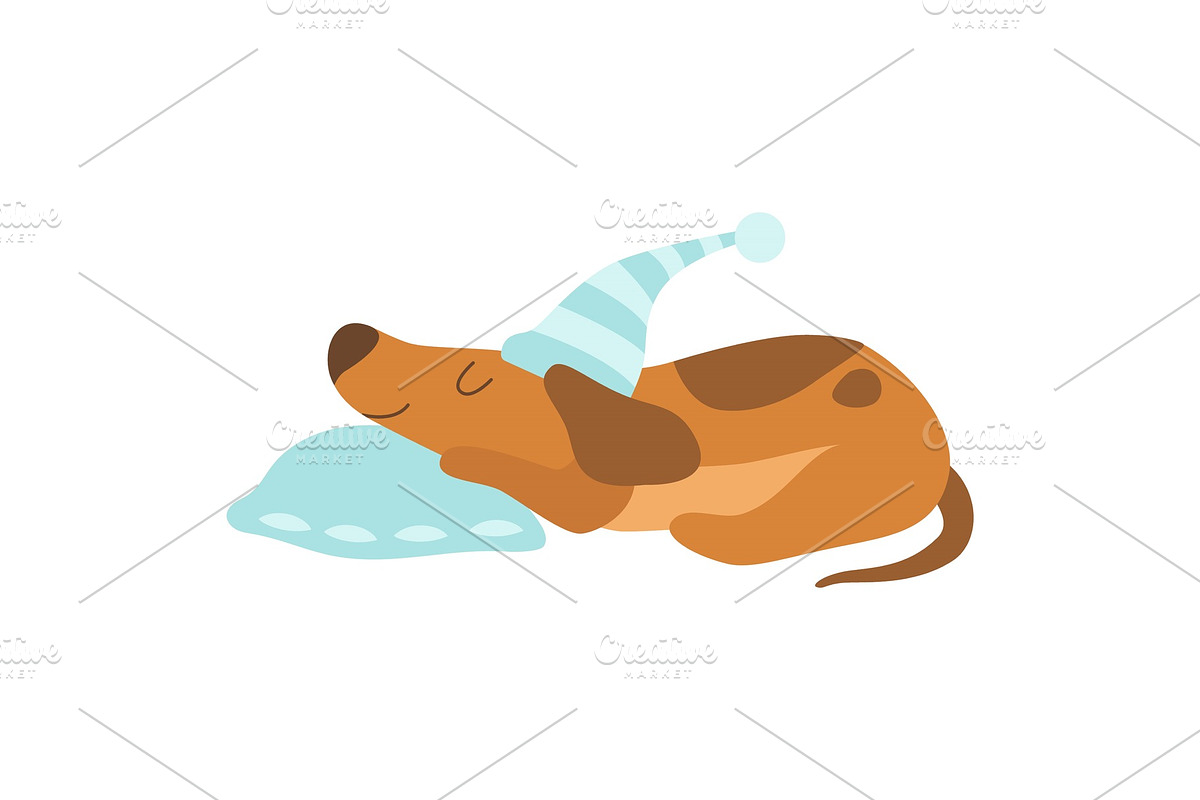 Cute Dachshund Dog Animal Sleeping in Illustrations - product preview 8
