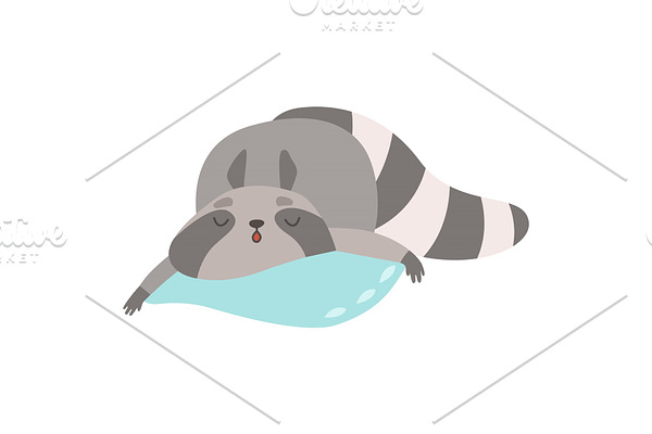 Cute Raccoon Animal Sleeping on