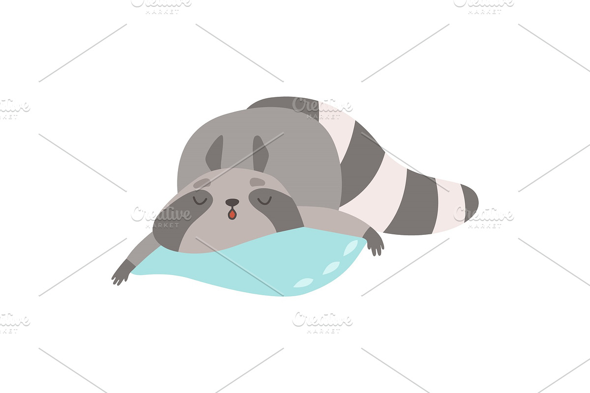 Cute Raccoon Animal Sleeping on in Illustrations - product preview 8
