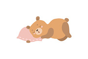 Cute Baby Bear Animal Sleeping on