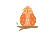 Cute Owl Bird Sleeping on Branch