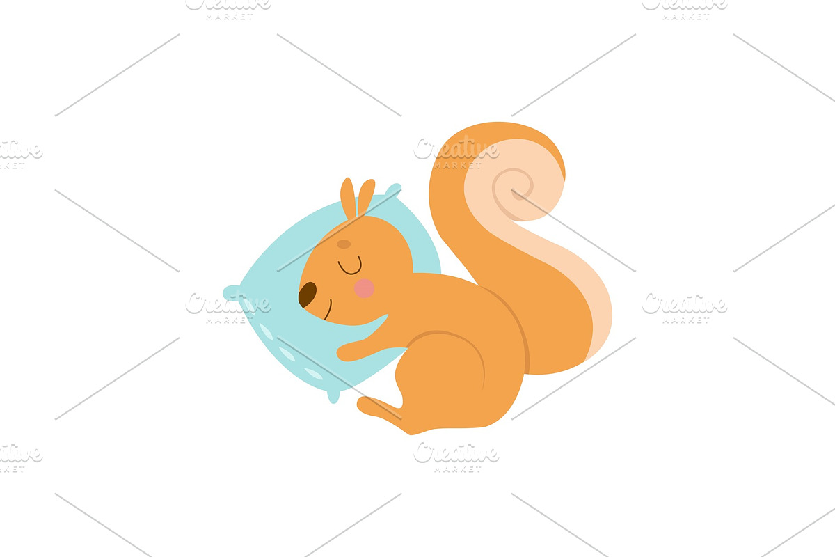 Cute Little Squirrel Animal in Illustrations - product preview 8