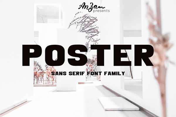 POSTER Sans Serif Font Family