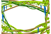 Twisted wild lianas branches frame