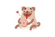 Cute Pug Dog Eating Donut, Funny
