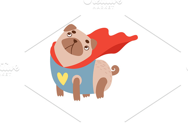 Cute Pug Dog in Superhero Costume