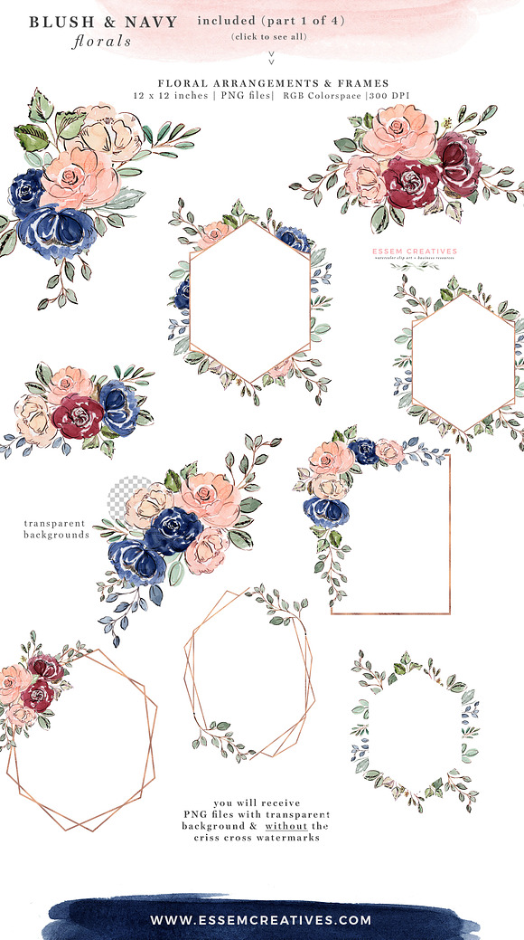 Blush and Navy Watercolor Flowers in Illustrations - product preview 4