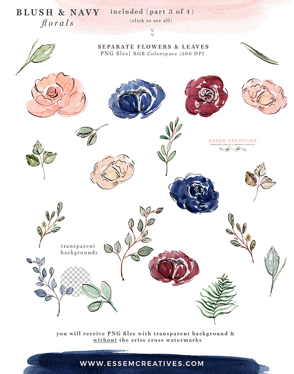 Blush and Navy Watercolor Flowers in Illustrations - product preview 6