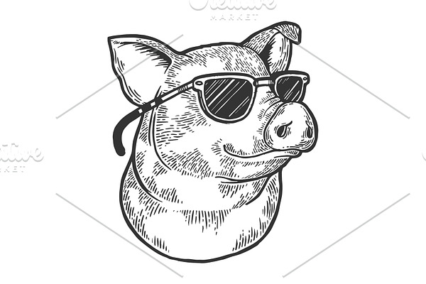 Pig animal in sunglasses sketch