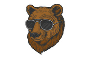 Bear animal sunglasses color sketch