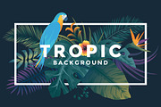 Tropical backgrounds
